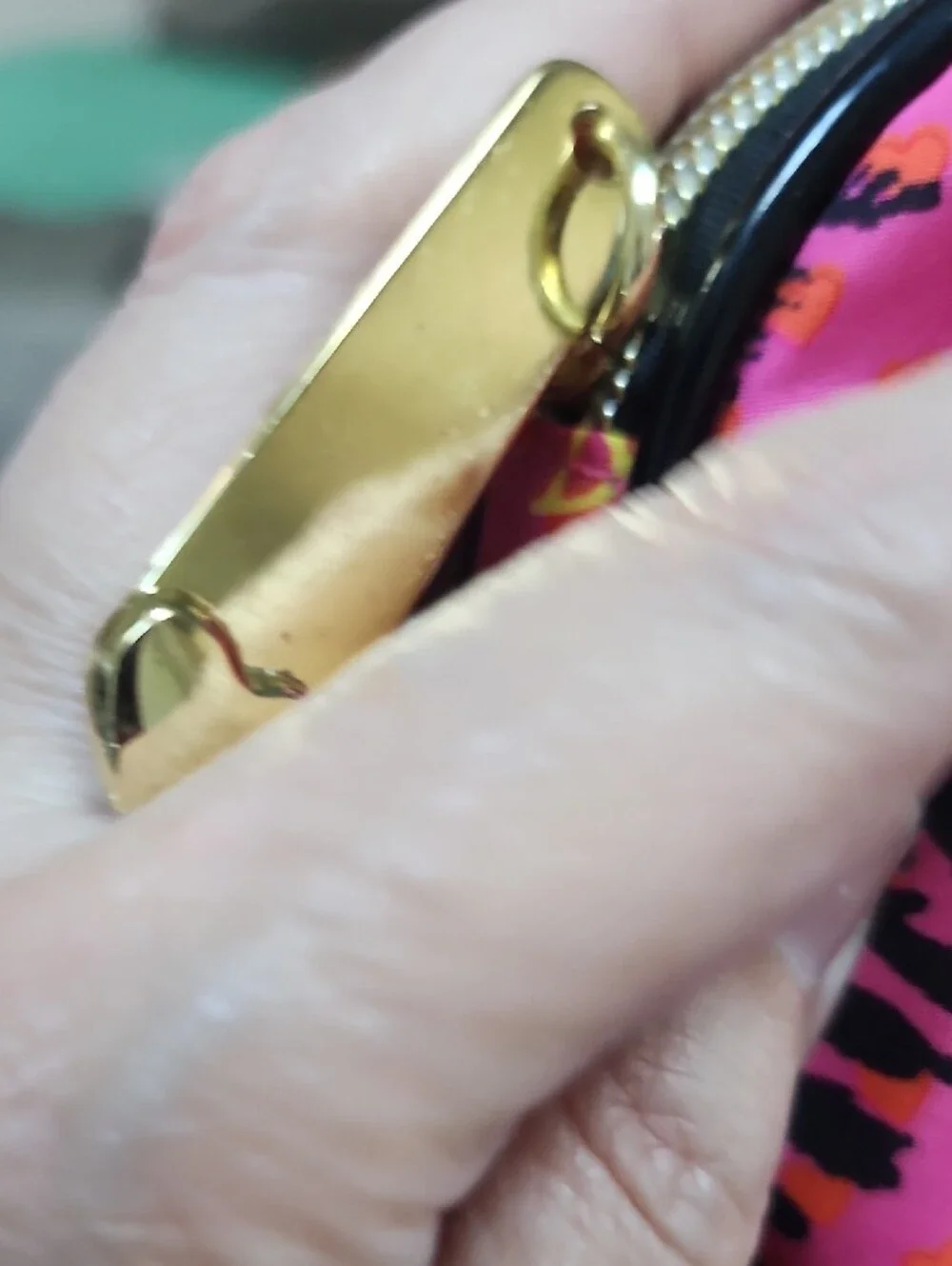 Betsey Johnson Pink & Yellow Fishbone Cosmetic Case